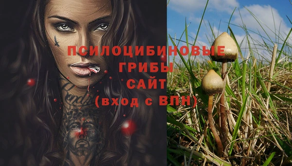 прущие крисы Балабаново